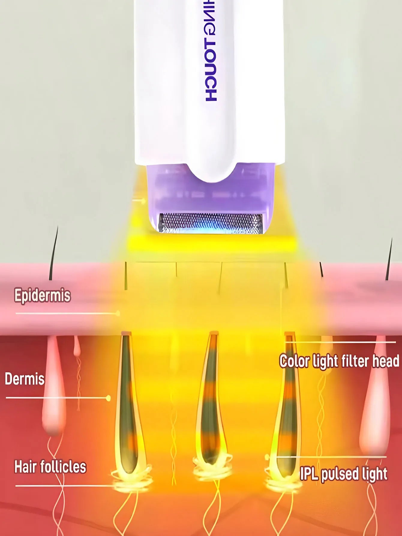 Professional female facial, leg, bikini, hand, body, electric shaver, hair removal device